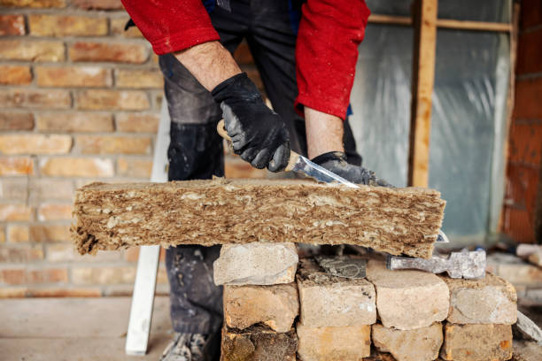 Best Insulation Contractor Near Me  in Platte, SD