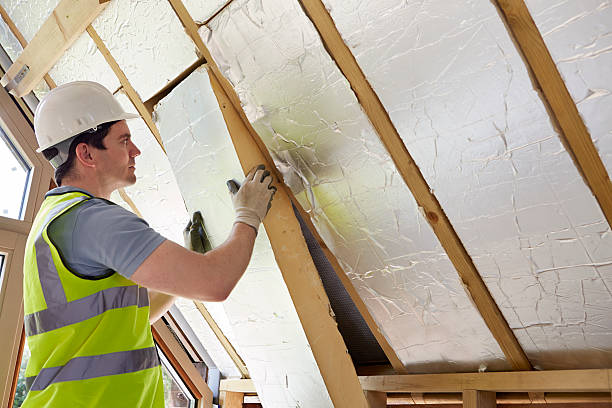 Best Insulation Replacement Services  in Platte, SD